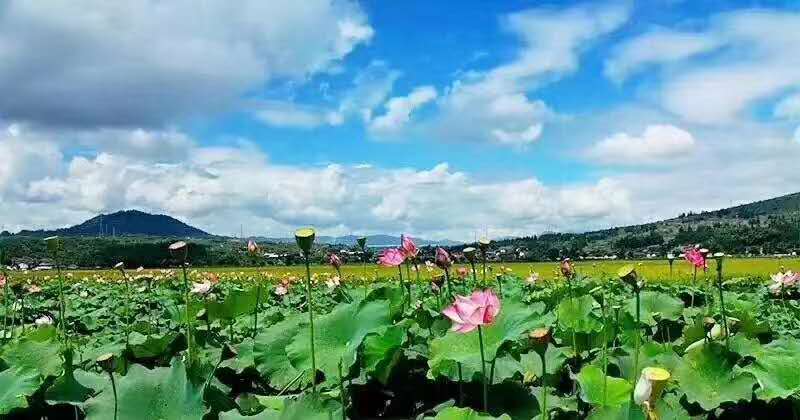 麗江研學(xué)旅行的定義及特點(diǎn)是什么？