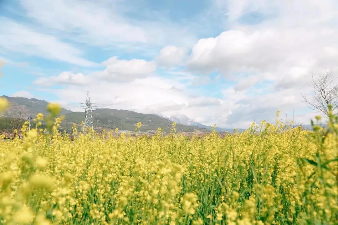 多彩麗江，村游正當(dāng)時(shí)，約起來！