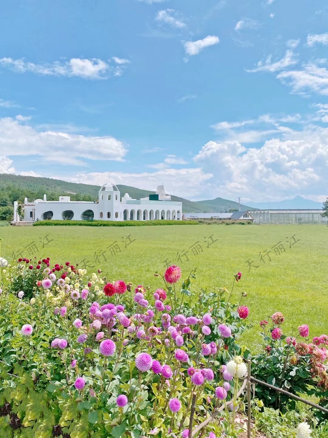 麗江聽(tīng)花谷餐廳