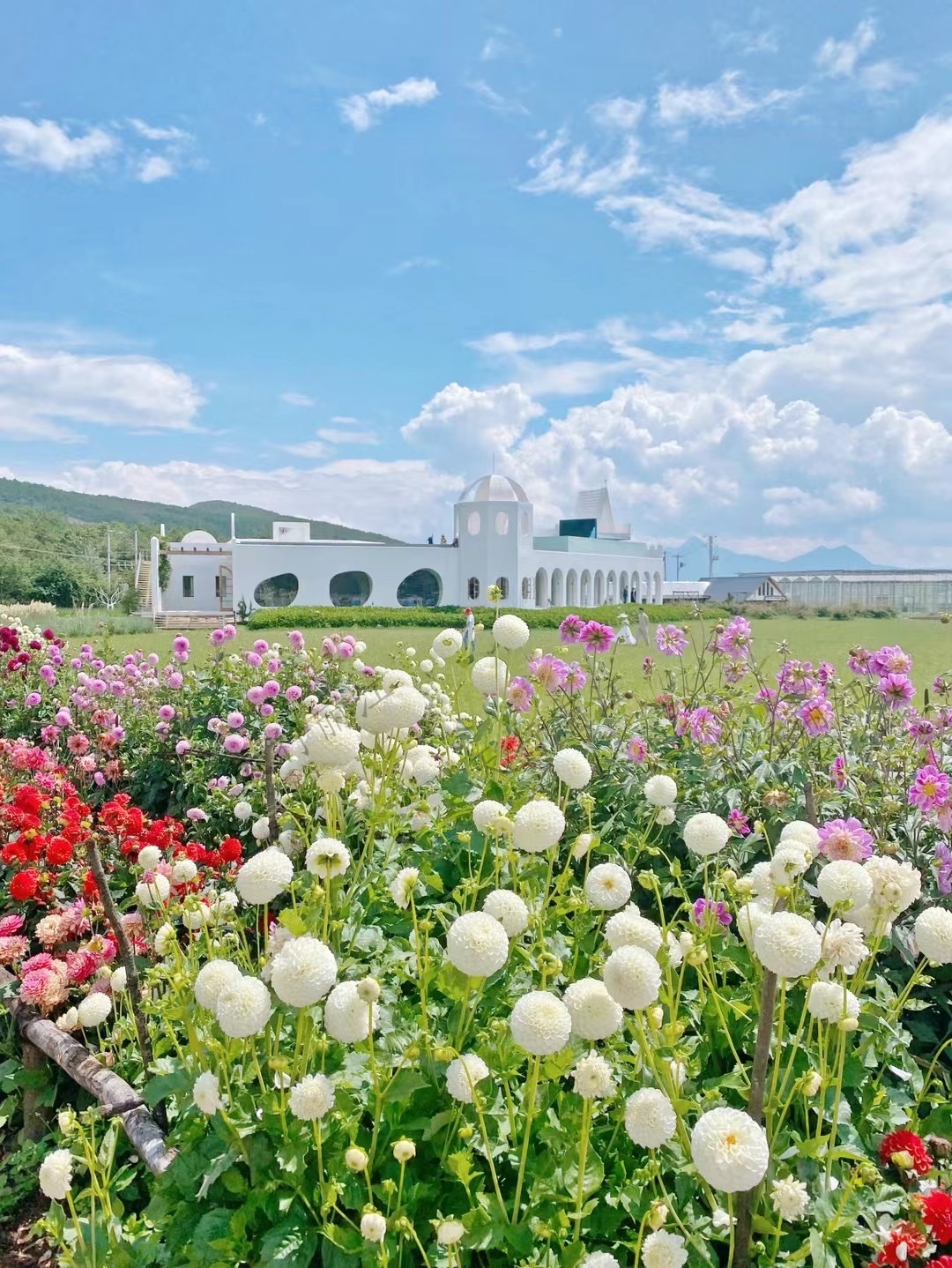 麗江聽(tīng)花谷餐廳
