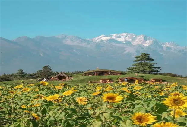 小心，來(lái)麗江玉龍雪山聽(tīng)花谷“聽(tīng)花”會(huì)上癮
